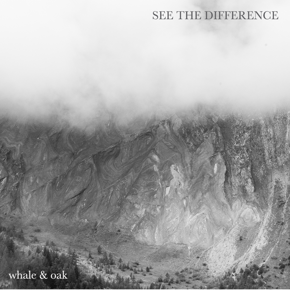 SeeTheDifference
